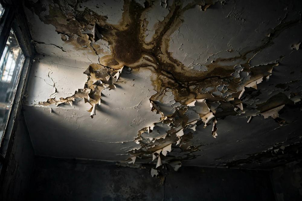 Roof Leaks & Ceiling Water Stains: Repair Guide